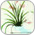 Art Glass & Glass Crafts