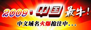 中文域名